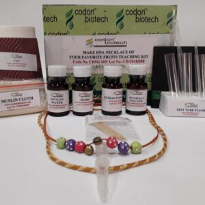 Make DNA Necklace of your favorite Fruits