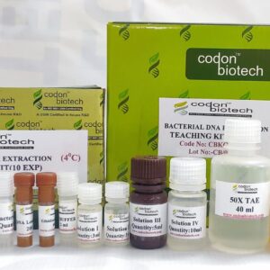 Bacterial DNA Extraction Teaching Kit