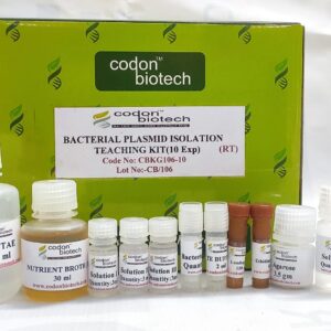 Bacterial Plasmid Isolation  Teaching Kit