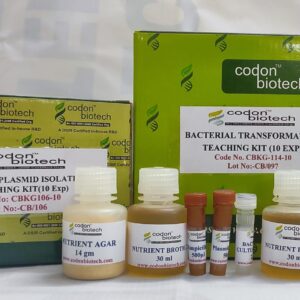 Bacterial Transformation Teaching Kit