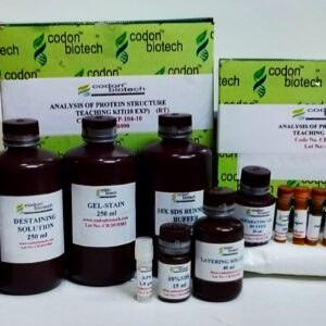 Analysis of Protein Structure Teaching Kits