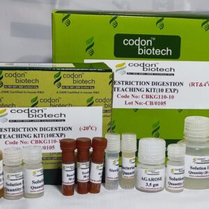 Restriction Digestion Teaching Kits