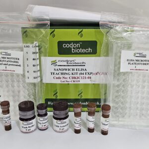 Sandwich ELISA Teaching Kit