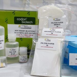 Southern Blotting Teaching Kit